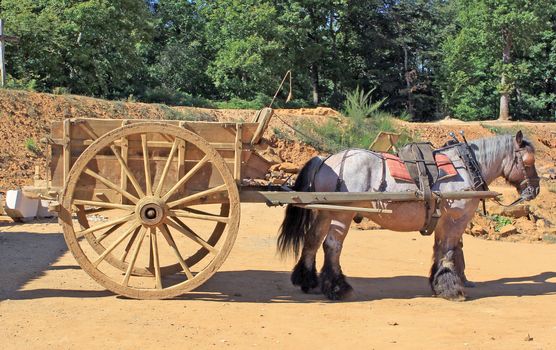 horse harnessed to a cart for transporting materials