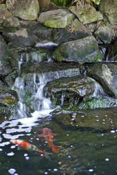 Vertical image of a waterfall feature and Koi pond.