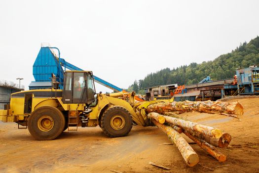 Forest Logging Forklift or mover working at a lumber mill