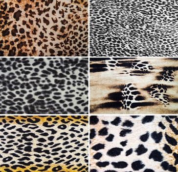 Leopard textures