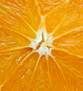 Orange macro background