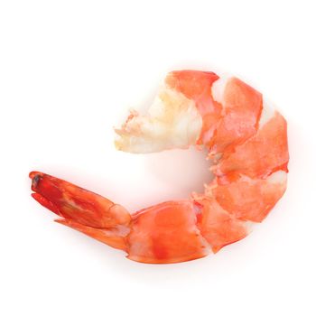 shrimp isolated on white