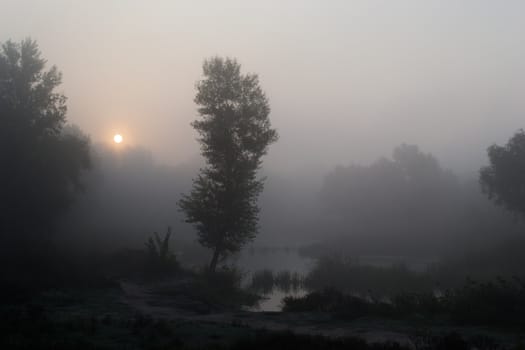 Landscape - early foggy morning on the river.