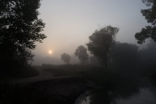 Landscape - early foggy morning on the river.