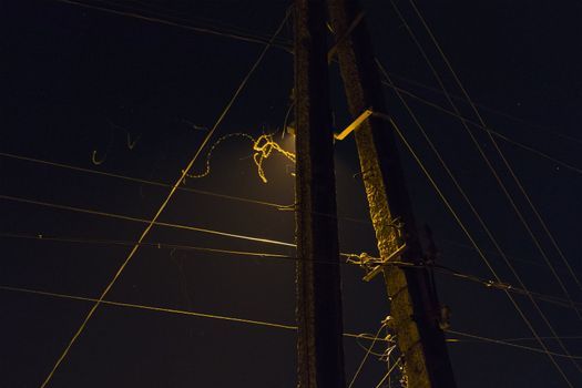 Image power pole with electrical wires, with street lamp and flight paths of moths at night.