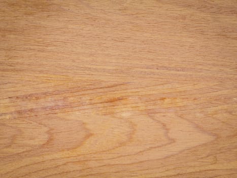 Texture of wood background closeup