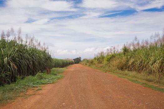 Gravel road in open spaces
