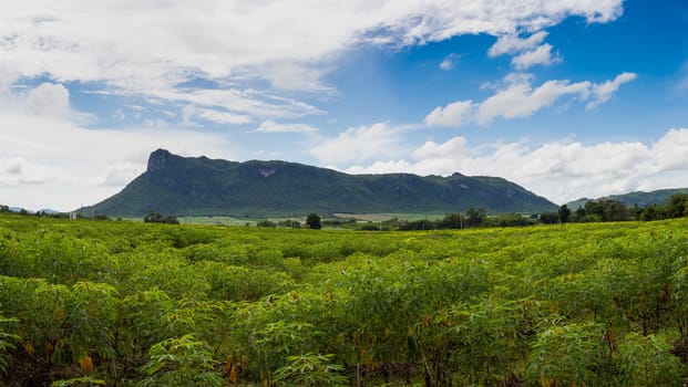 Summer landscape in mountains and the dark blue sky with clouds panorama