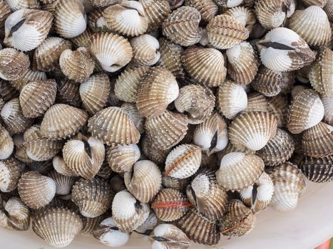 background fresh cockles for sale at market