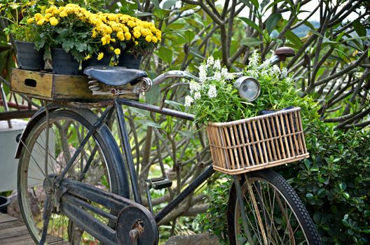 Vintage bicycle with flower decorations