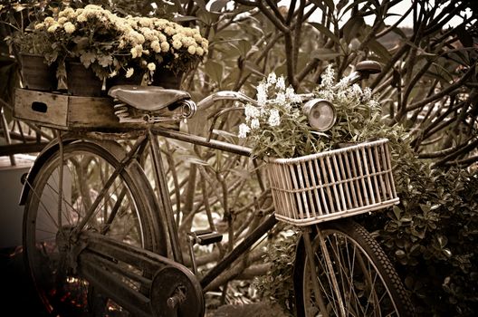 Vintage bicycle with flower decorations