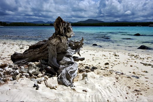 a beach in mauritius