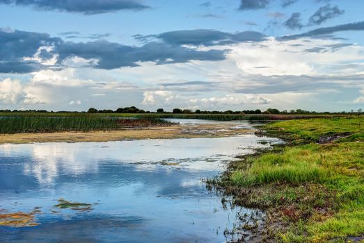 Shannon river landscape, County Offaly, Ireland