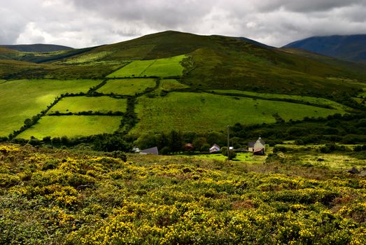 beautiful green mountain landscape on Dingle peninsula, Ireland