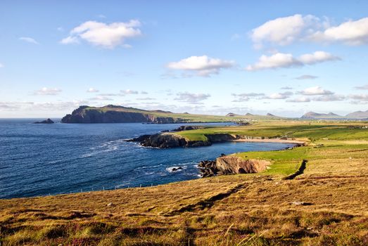 beautiful coast landscape on Dingle peninsula, Ireland