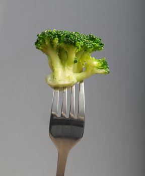 broccoli on fork. on gray background