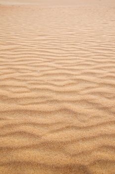 sand texture in Gold desert