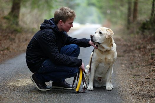 Young boy with his labrador in the forest