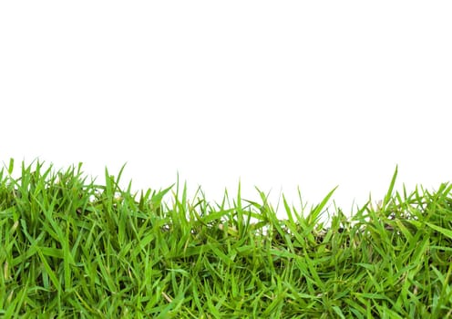 green grass