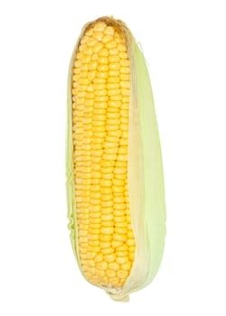 corn cob