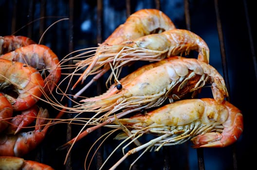 Grilled shrimp, Seafood Barbecued concept