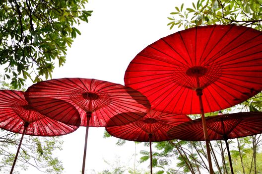Nice red umbrella in garden for decorate