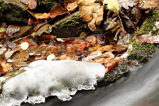 Water on the rocks into the forest