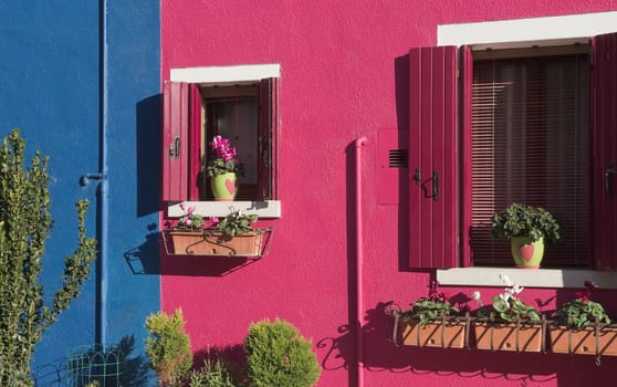 Windows and colorful walls of the houses on the island of Burano near Venice