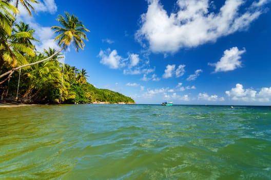 View of Caribbean Sea and palm tree lined shore in San Andres y Providencia, Colombia