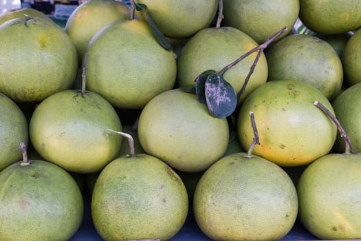 Pomelo or pummelo. For sele in market's or grocery's product.