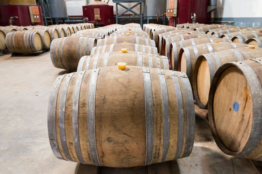 Wine cellar with the barrique barrels in wineries