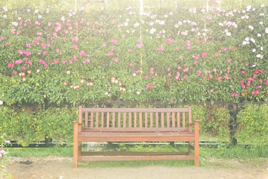 wood chair against wall flower in garden with sunlight effect