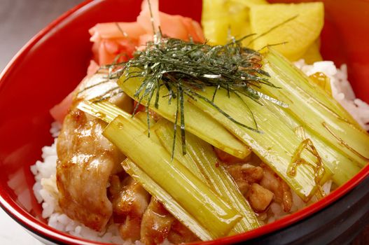 Chicken with rice and bamboo.Japanese Food 