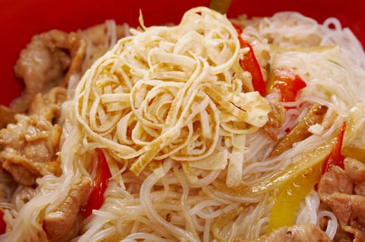 pork slice  and noodle.Japanese cuisine