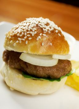 Hamburger with french fries. closeup