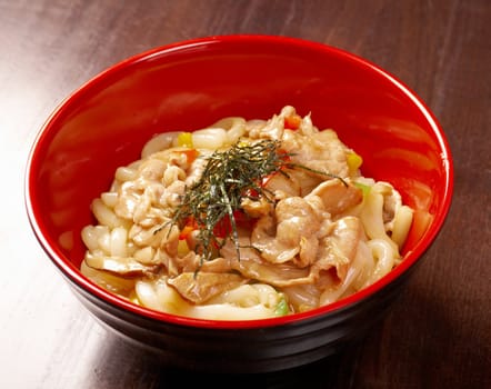 pork slice  and udon-noodle.Japanese cuisine