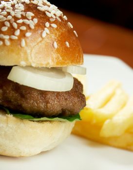 Hamburger with french fries. closeup