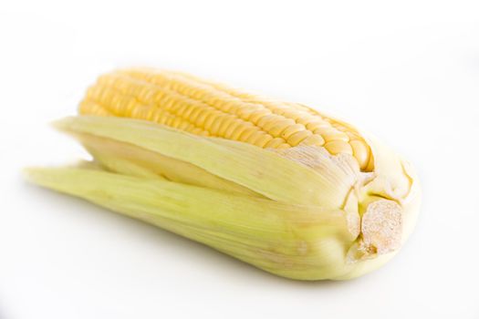 Cob corn isolated over white