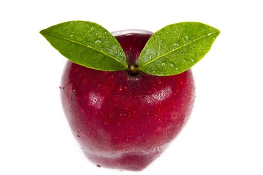 Red apple with leaves on white background