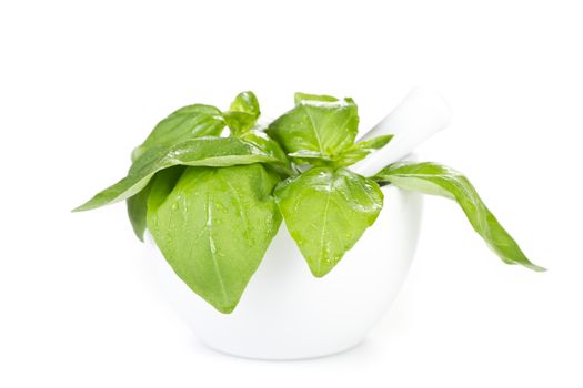 Fresh basil with mortar over white backround