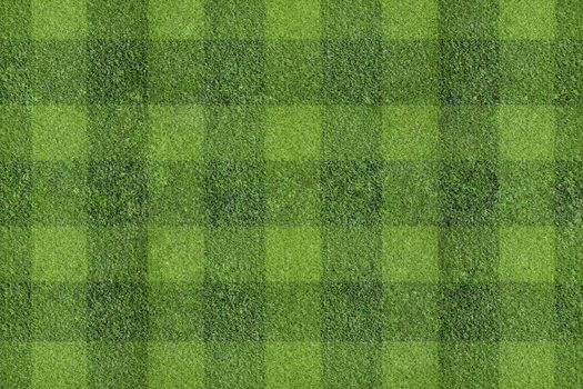 field of grass