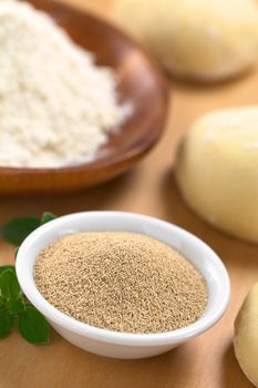 Active dry yeast in small bowl with fresh oregano, flour and dough (Selective Focus, Focus in the middle of the dry yeast)  