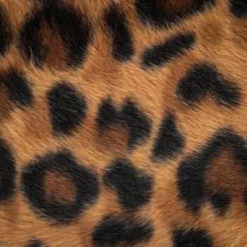 leopard or jaguar skin pattern background