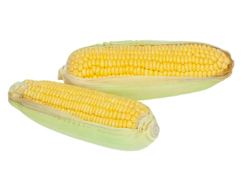 corn cob