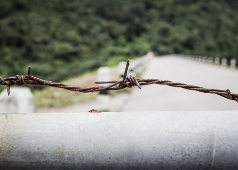 Fence with a barbed wire