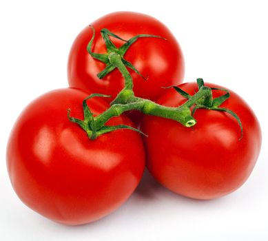 Tomatoes on a white background.