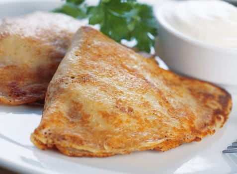 Close-up of two pancakes stuffed with meat on the plate with mayonnaise and parsley.