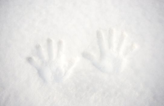 hand prints in white