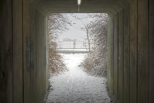 see trough winter view with snow