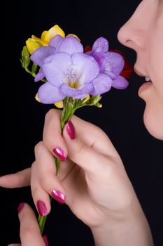 Woman sniffing flowers, freesia on a black background